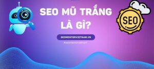 SEO mũ trắng là gì? Tại sao nên sử dụng?