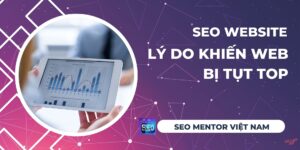 Lý do khiến website bị tụt TOP là gì?