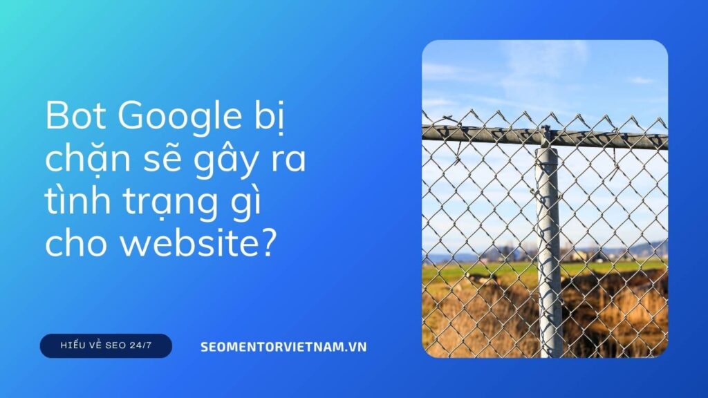 Bot Google bị chặn sẽ gây ra tình trạng gì cho website?