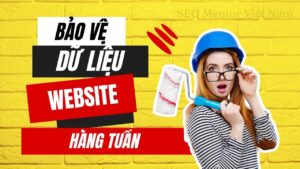 Để bảo vệ dữ liệu website thì người làm SEO cần làm gì?