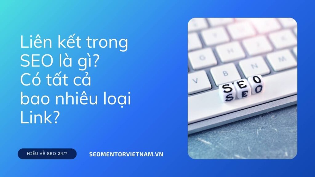 Liên kết trong SEO là gì? Có tất cả bao nhiêu loại Link?