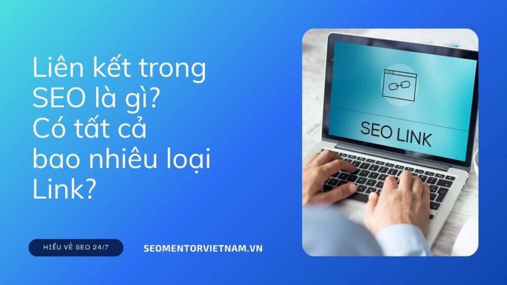 Liên kết trong SEO là gì? Có tất cả bao nhiêu loại Link?