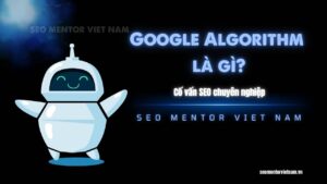 Google Algorithm là gì? Có tổng cộng tất cả bao nhiêu loại thuật toán?