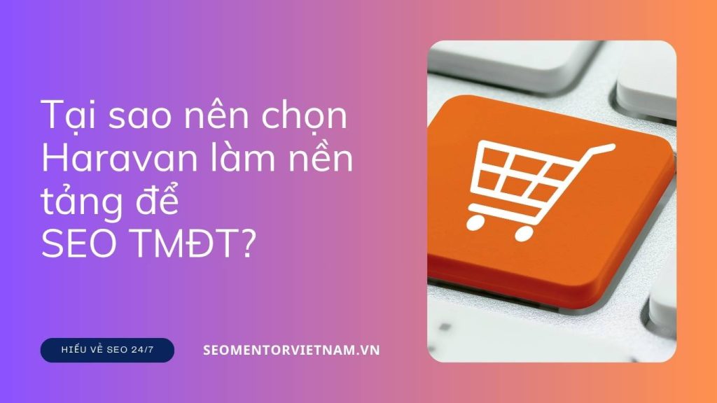 Tại sao nên chọn Haravan làm nền tảng để SEO Thương Mại Điện Tử?