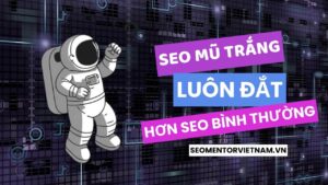 Dịch vụ SEO mũ trắng có giá bao nhiêu? Tại sao lại đắt hơn SEO bình thường?