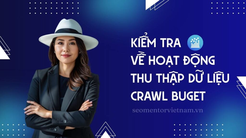 Hướng dẫn kiểm tra về hoạt động thu thập dữ liệu crawl buget trong SEO chi tiết
