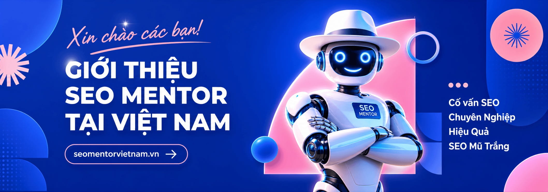 Giới thiệu SEO Mentor tại Việt Nam