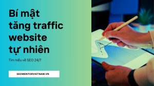 Bí mật tăng traffic website tự nhiên - Hệ thống thu hút người dùng thật từ nhiều nguồn