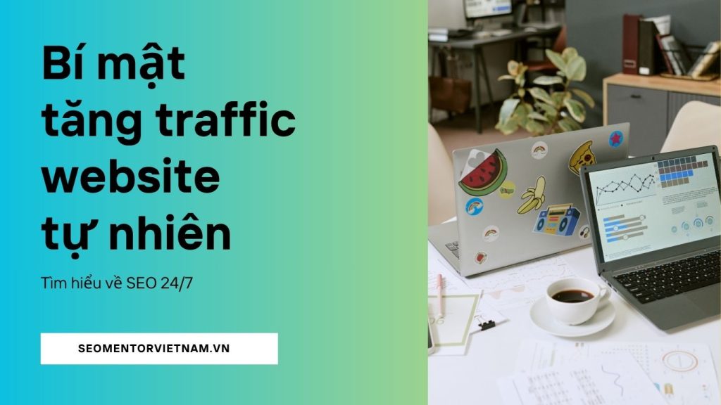 Bí mật tăng traffic website tự nhiên - Hệ thống thu hút ngườI dùng thật từ nhiều nguồn